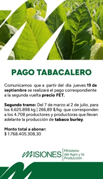 El jueves pagarán más de $1.768 millones a productores tabacaleros de Misiones