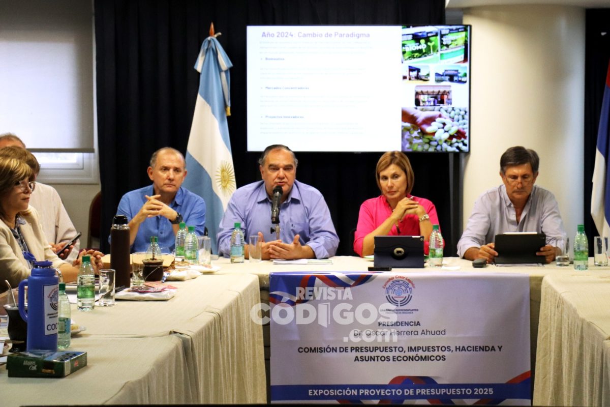 El Imac expuso su Presupuesto 2025 con los emprendedores e industrias como prioridades 9 18 - WhatsApp Image 2024 09 23 at 11.33.37 - 17