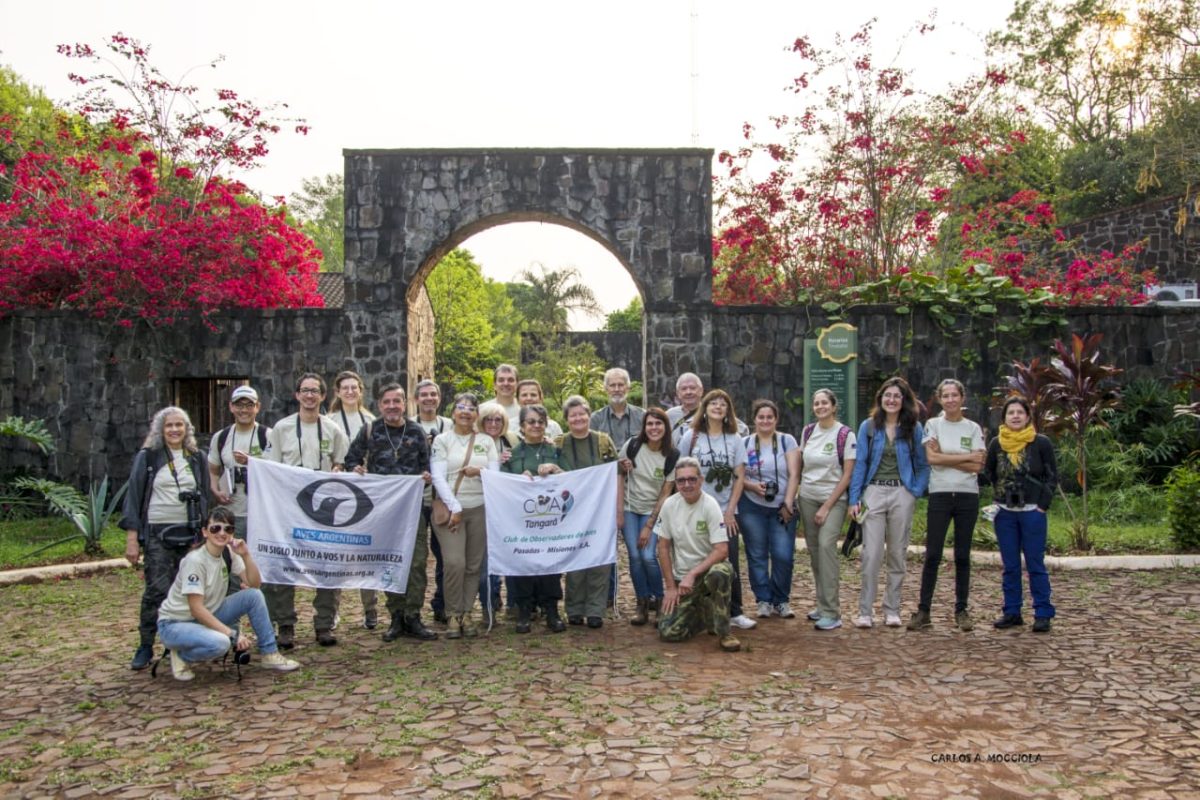 Más de 70 aves registradas en avistaje realizado en Loreto