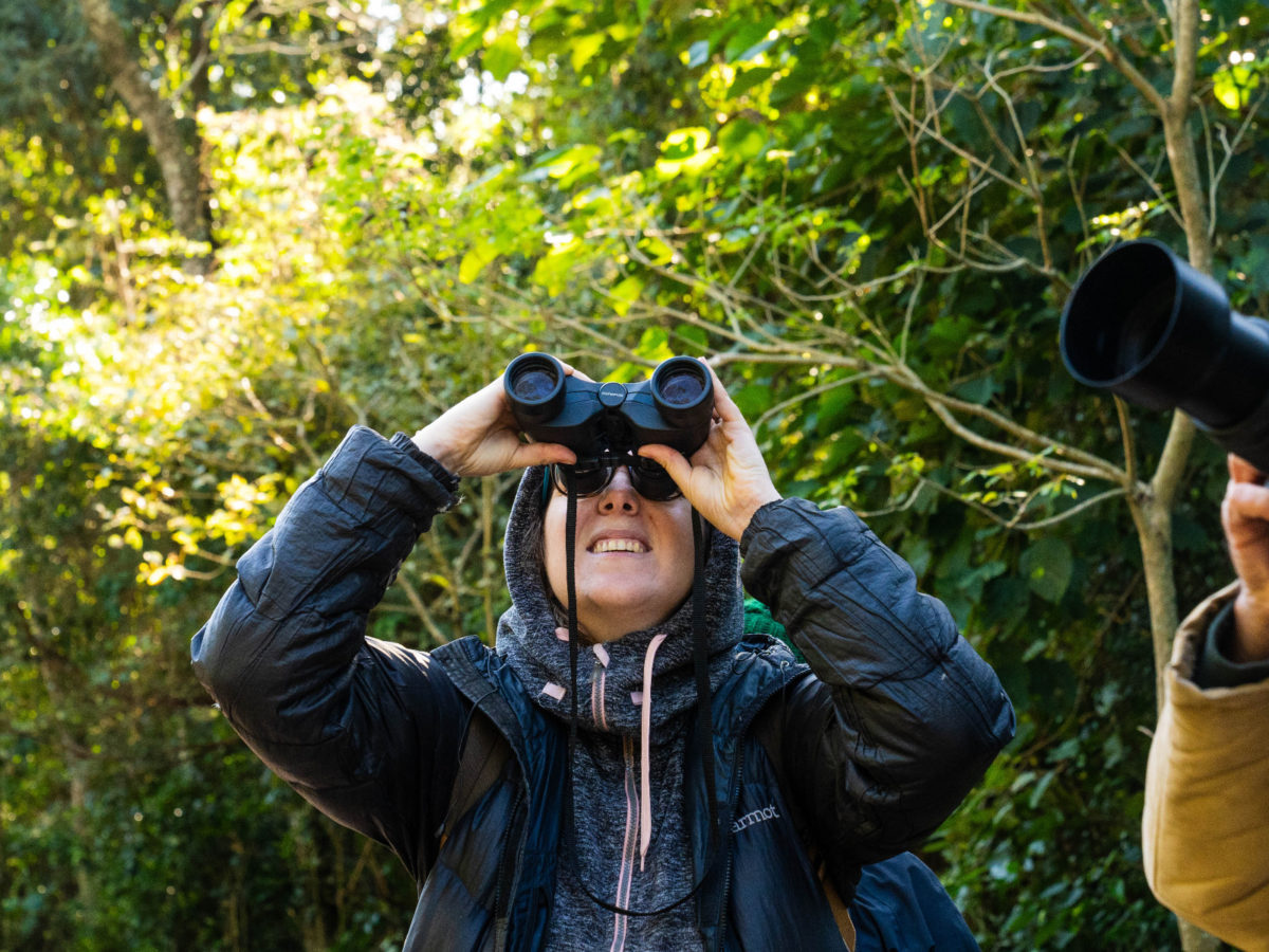 avistaje de aves 1 - 1