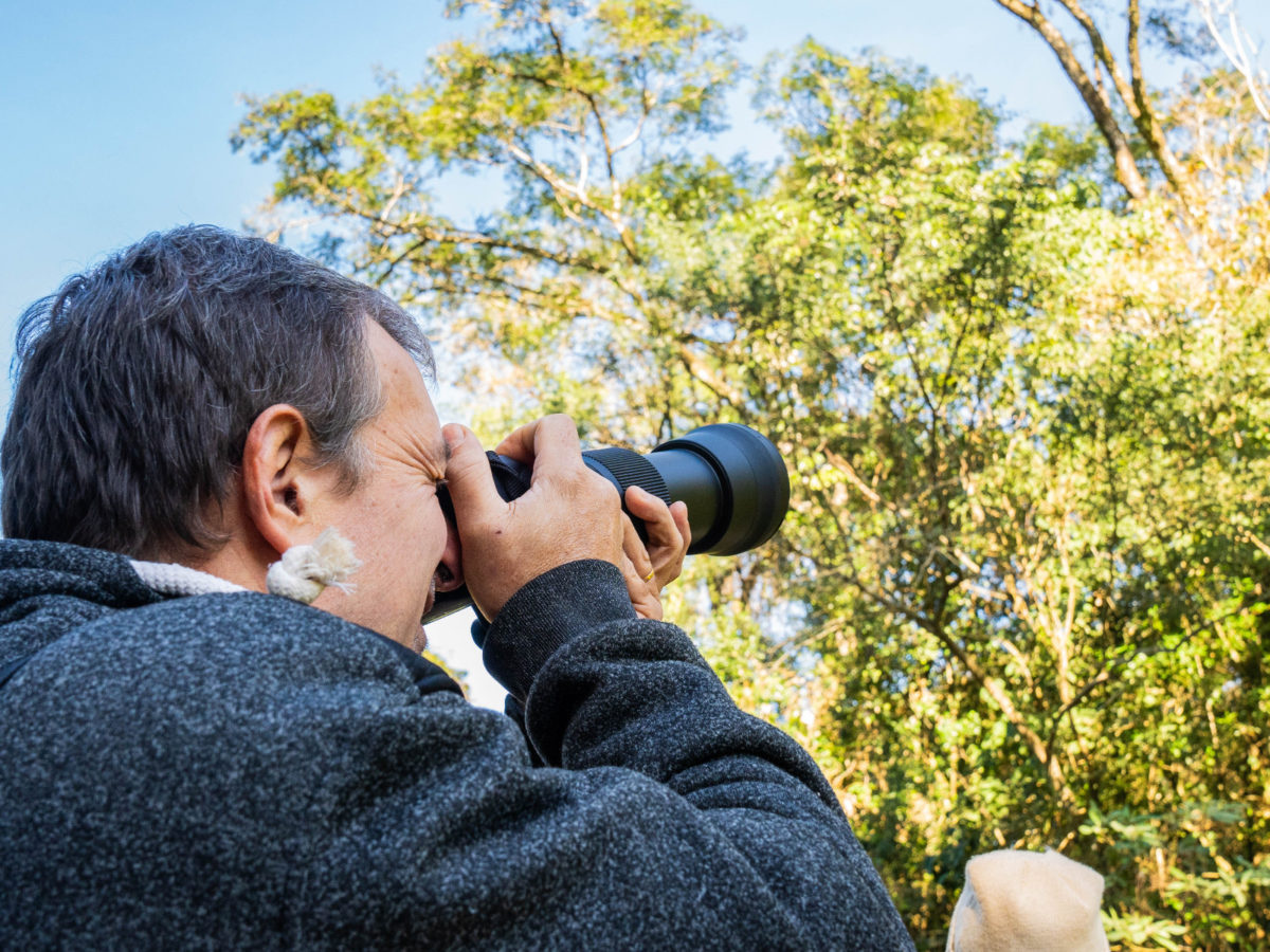 avistaje de aves 2 - 3