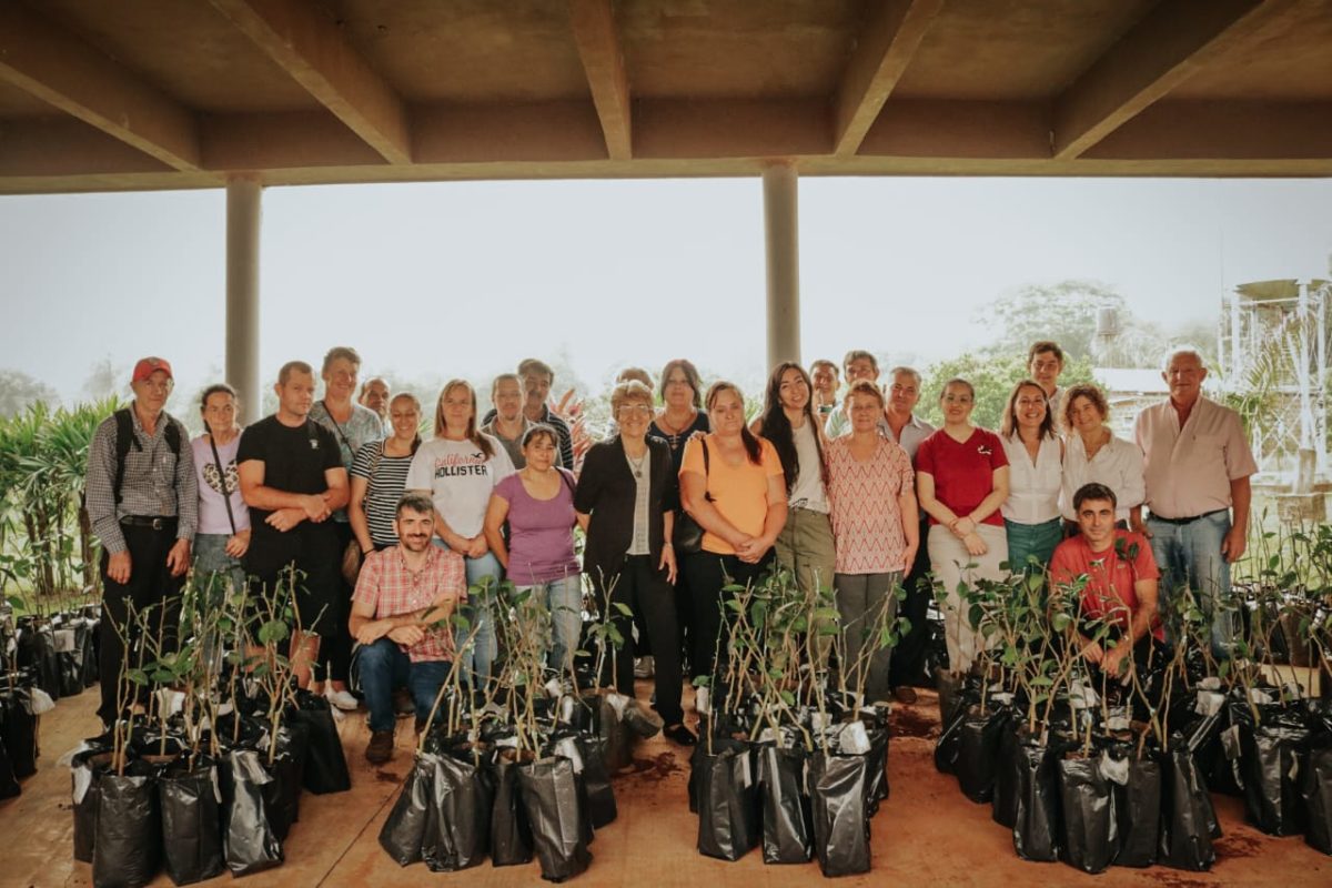 Misiones continúa consolidando políticas para fortalecer el sector citrícola