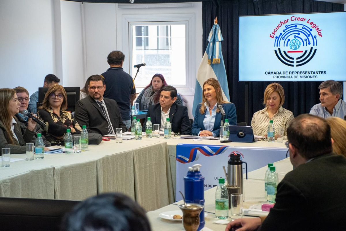 Energía de Misiones presentó su presupuesto con base en la modernización y expansión del servicio eléctrico