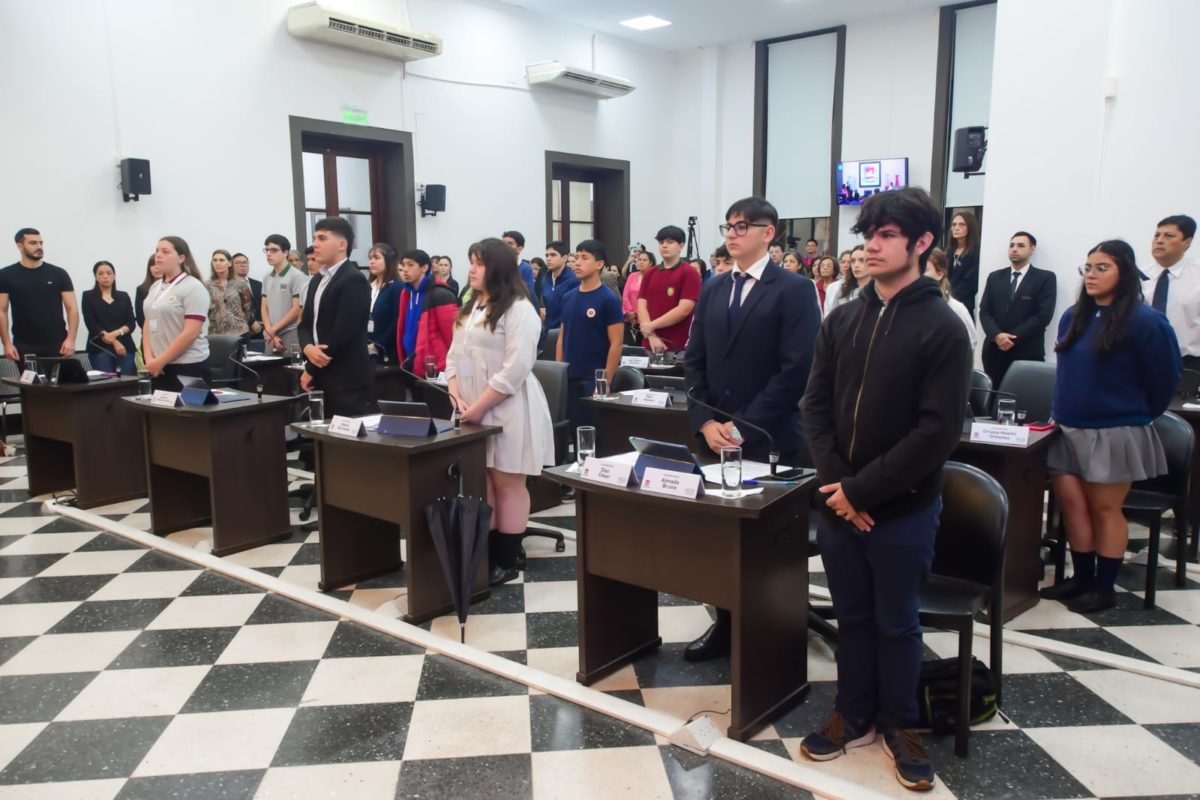 Digitalización, medio ambiente y educación, los ejes del Concejo Estudiantil Inclusivo 2024 2 4 - hcd 1 - 3