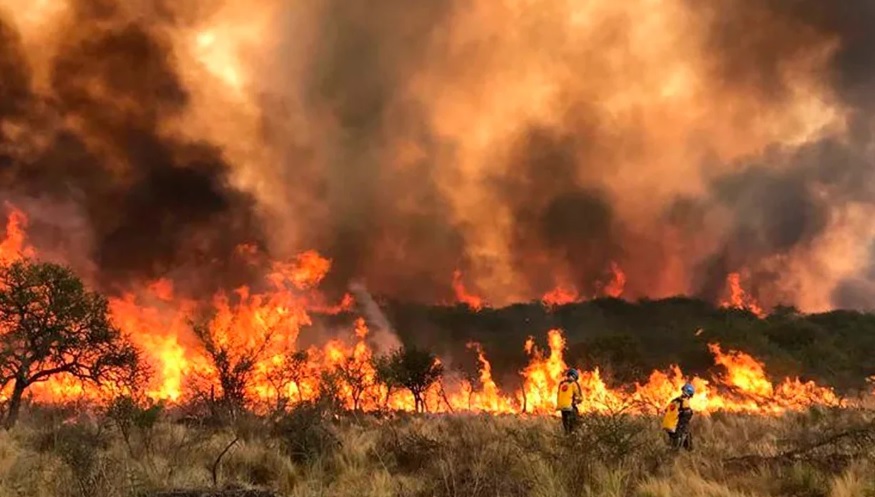 Declararon la emergencia ambiental por los incendios en Córdoba