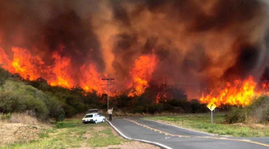 Ingresó al Congreso el proyecto que agrava penas para quienes causen incendios y otros delitos relacionados imagen-6