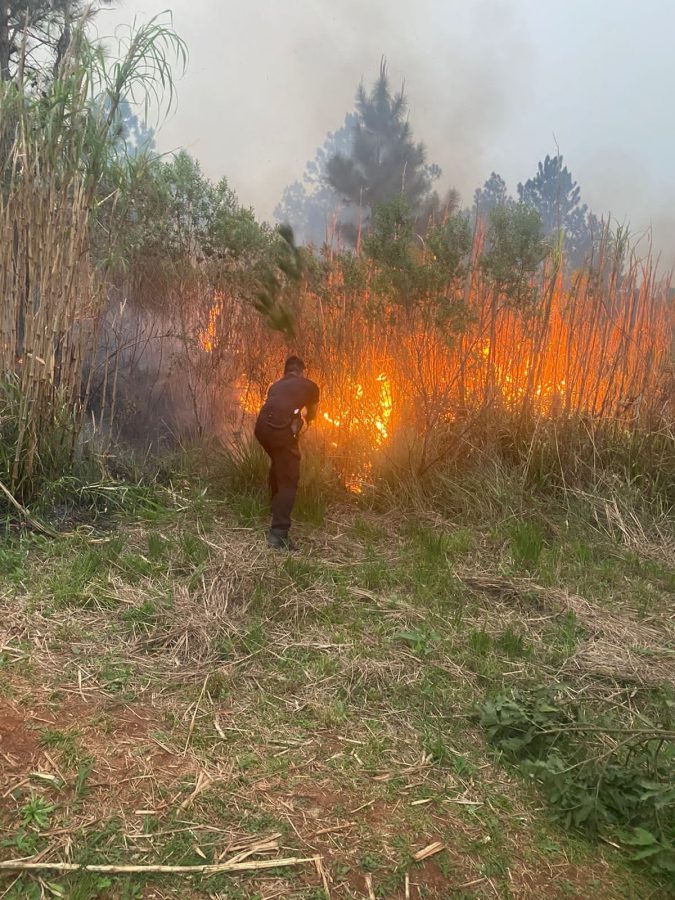 incendios en misiones 2 - 9