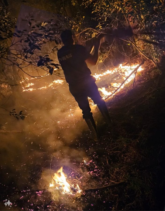 incendios en misiones 3 - 11