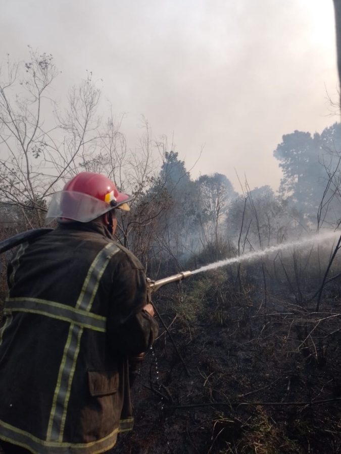 incendios en misiones 6 - 3