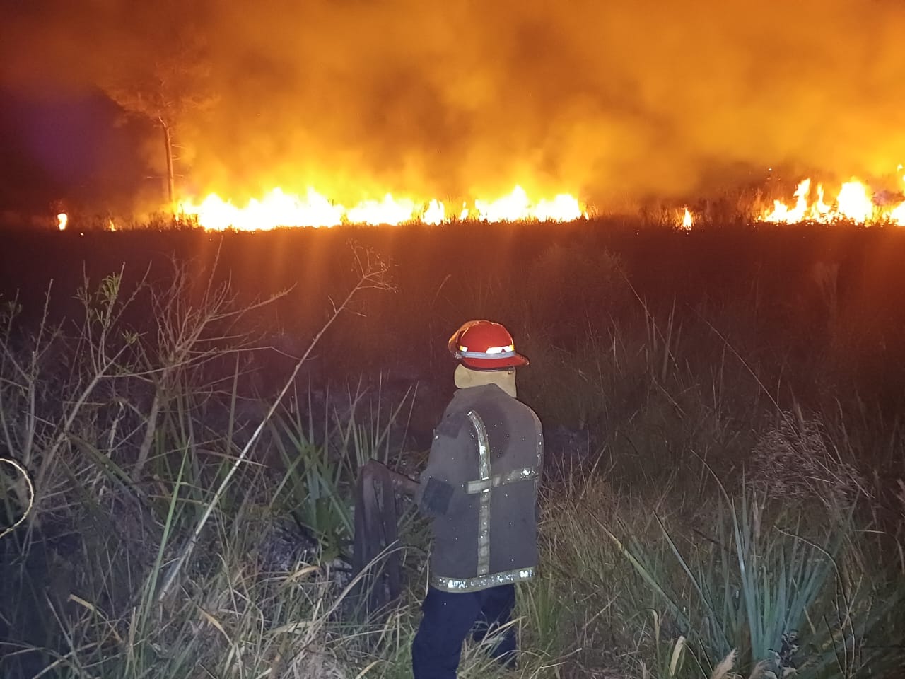 incendios en misiones (7)