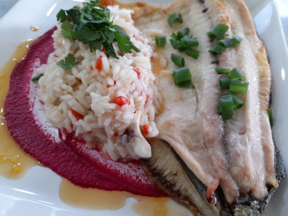 pescado de cultivo 1 - 7