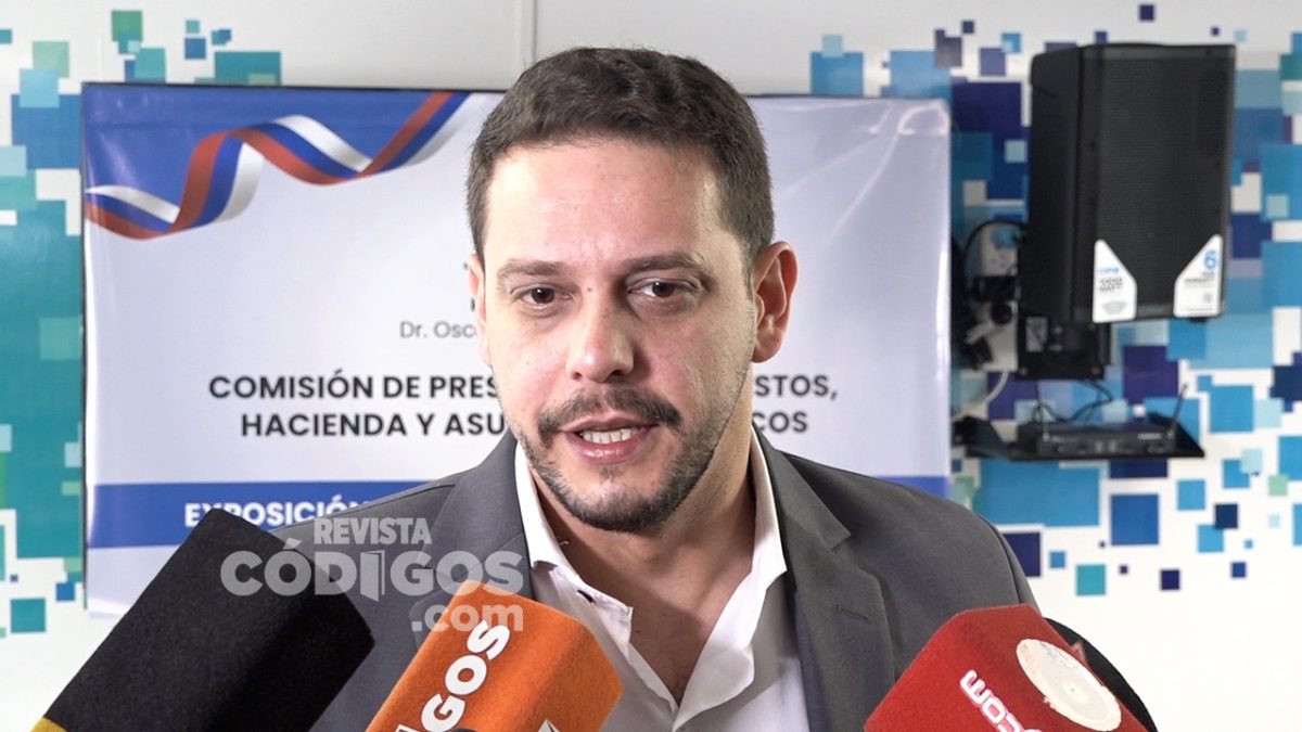 La Secretaría de Energía presentó su Presupuesto 2025 con propuestas sustentables