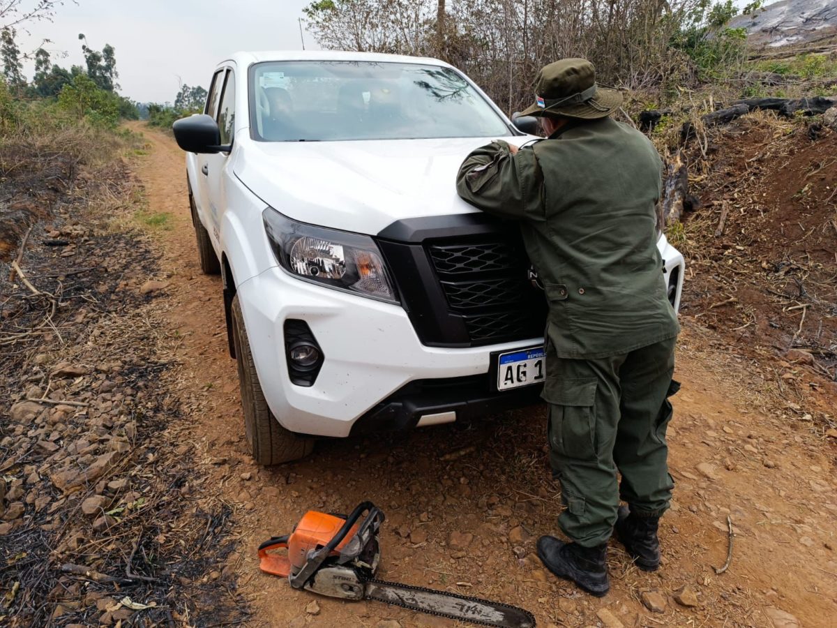 Guardabosques y policías frenaron rozados ilegales que realizaban en San Vicente y San Pedro