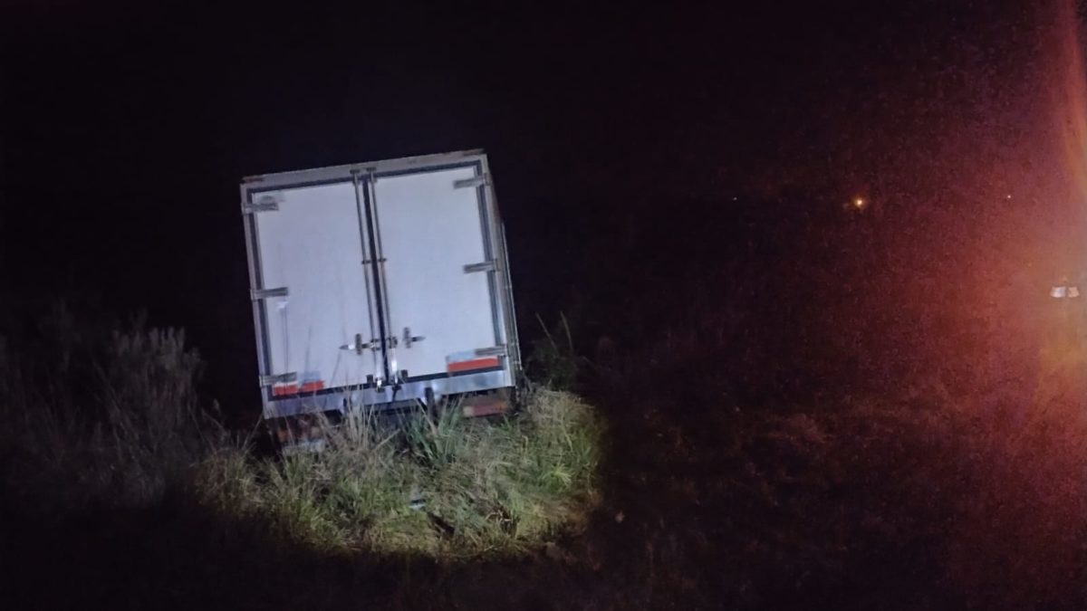 Camión chocó con un caballo en Tres Esquinas: hay un herido