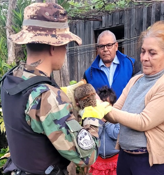 Animales en peligro de extinción fueron rescatados y resguardados por la Policía de Misiones