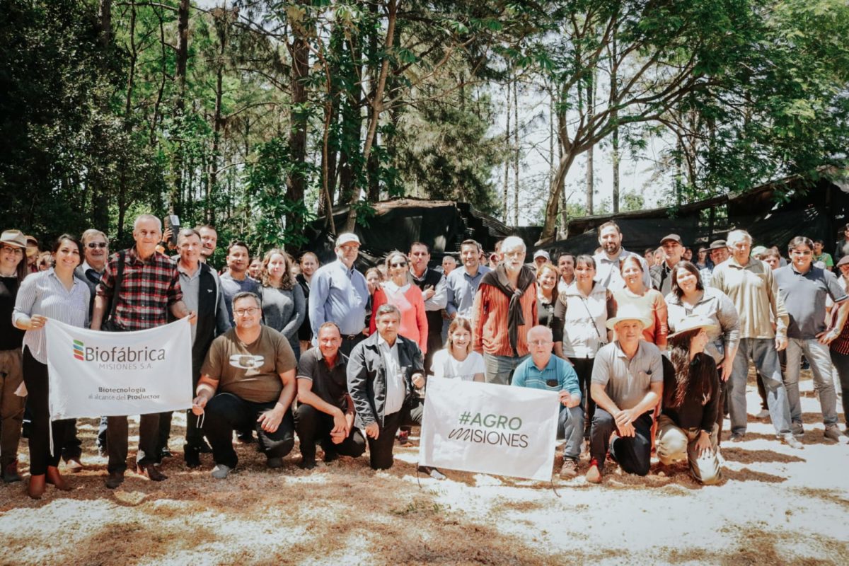 Familias productoras fueron beneficiadas con el plan de Fortalecimiento Citricola en Misiones 1 - 1