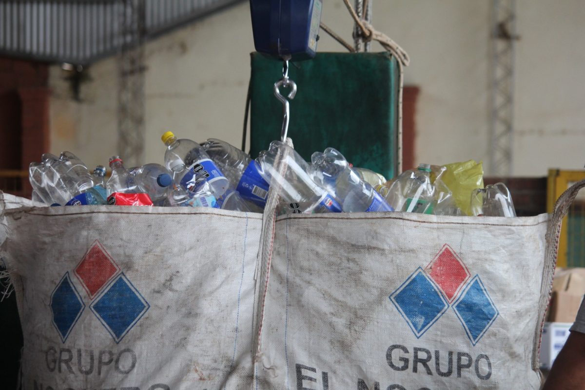 Estudiantes posadeños recolectaron más de 15 mil kilos de reciclaje