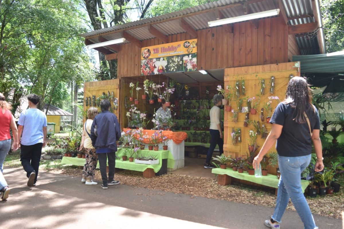 La Fiesta Nacional de la Orquídea y Provincial de la Flor dejó un gran impacto histórico en Montecarlo