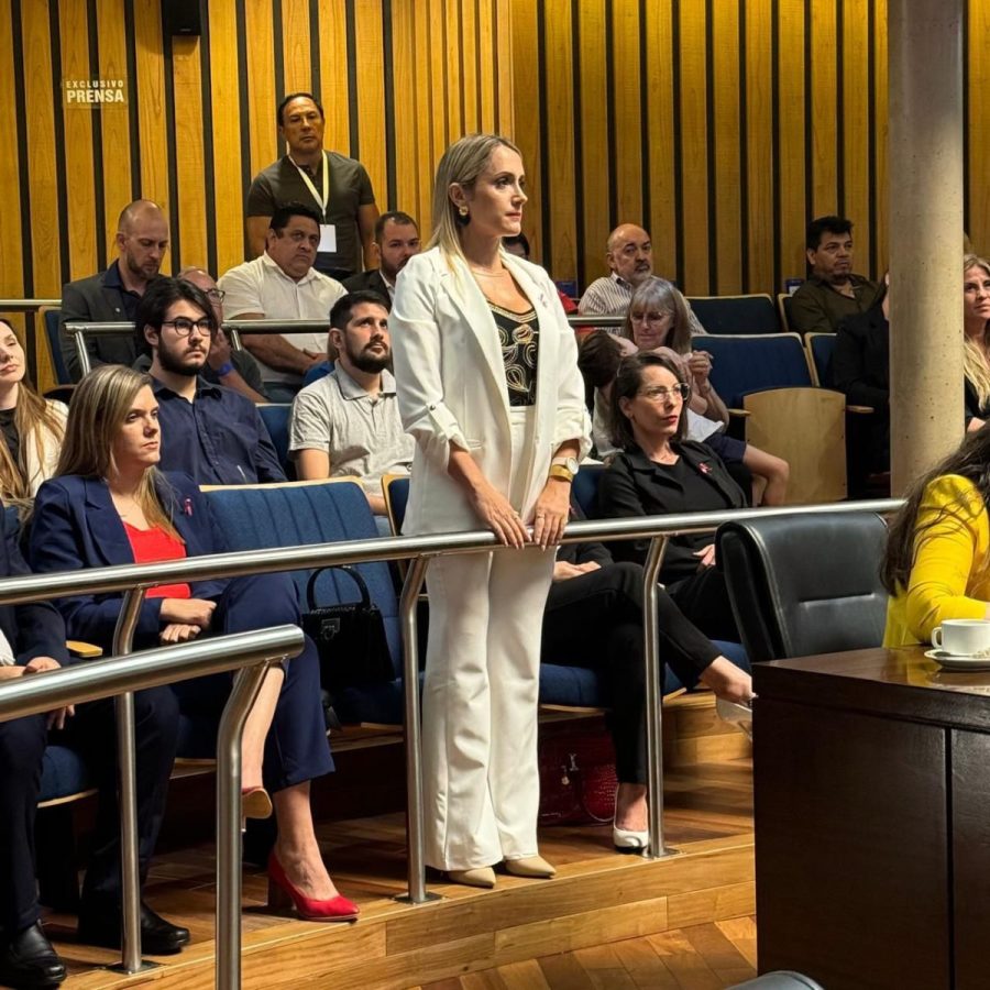 La Legislatura aprobo los pliegos para cubrir cargos judiciales en 5 localidades misioneras 2 - 11