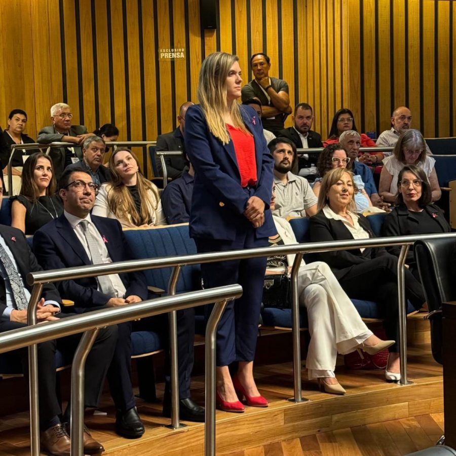 La Legislatura aprobo los pliegos para cubrir cargos judiciales en 5 localidades misioneras 3 - 9