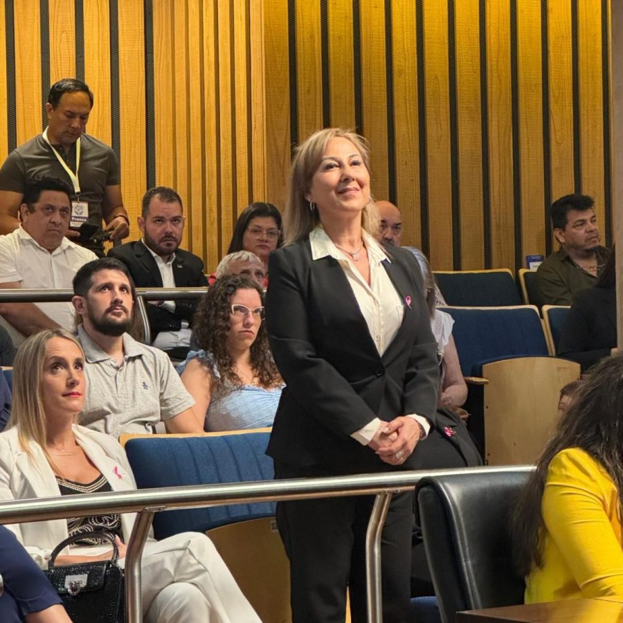 La Legislatura aprobo los pliegos para cubrir cargos judiciales en 5 localidades misioneras 4 - 7