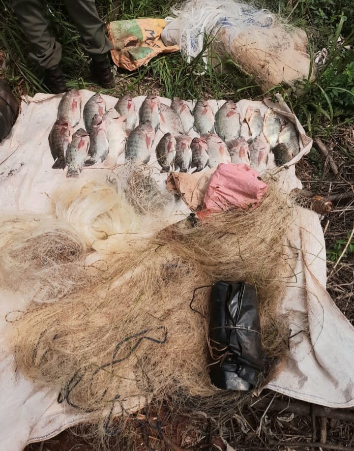La Policia de Misiones combate la caza y pesca ilegal en toda la provincia 1 - 11