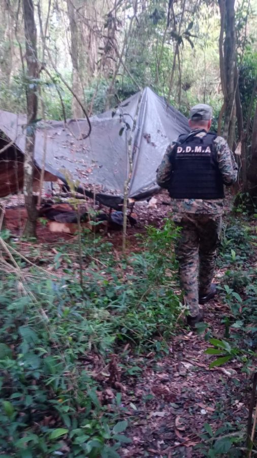La Policia de Misiones combate la caza y pesca ilegal en toda la provincia 7 - 1