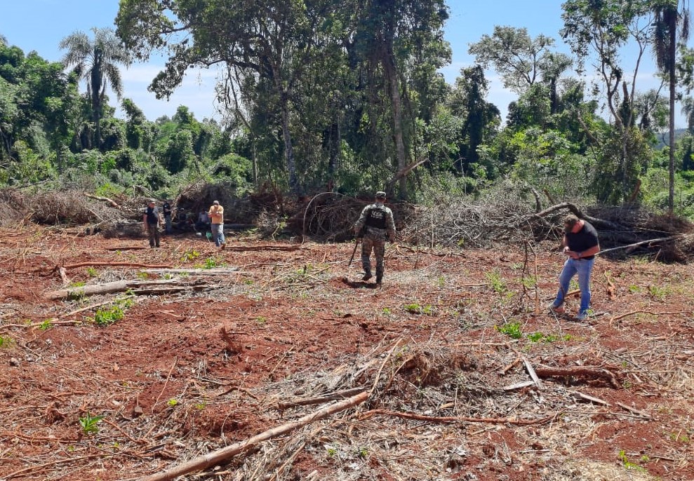 Policías impidieron la deforestación ilegal de un área nativa de Montecarlo