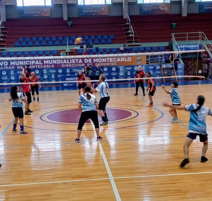 Torneo Newcom 2 - 3