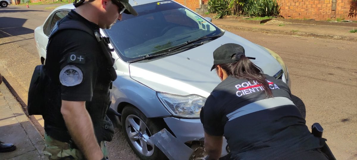 Ubicaron al presunto conductor y al vehículo involucrado en la muerte de un puma en Iguazú