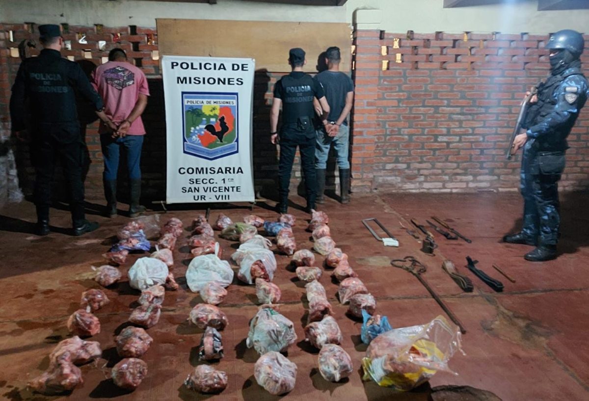 carne faenadas