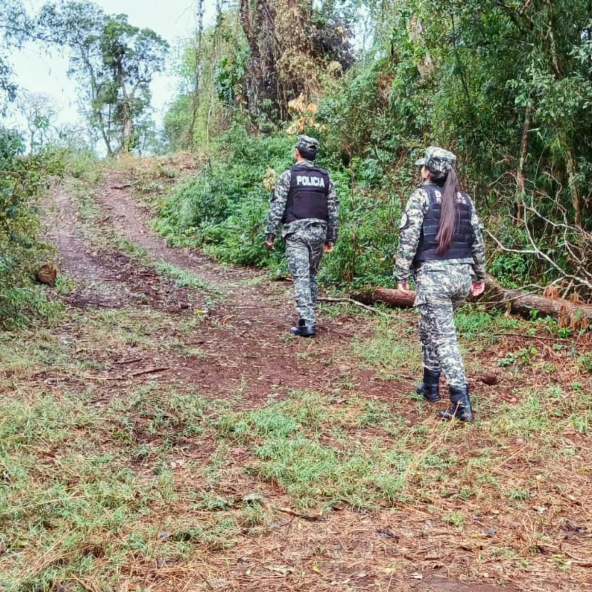 Controles de velocidad y alcoholemia en las rutas de Misiones ante el intenso movimiento turístico