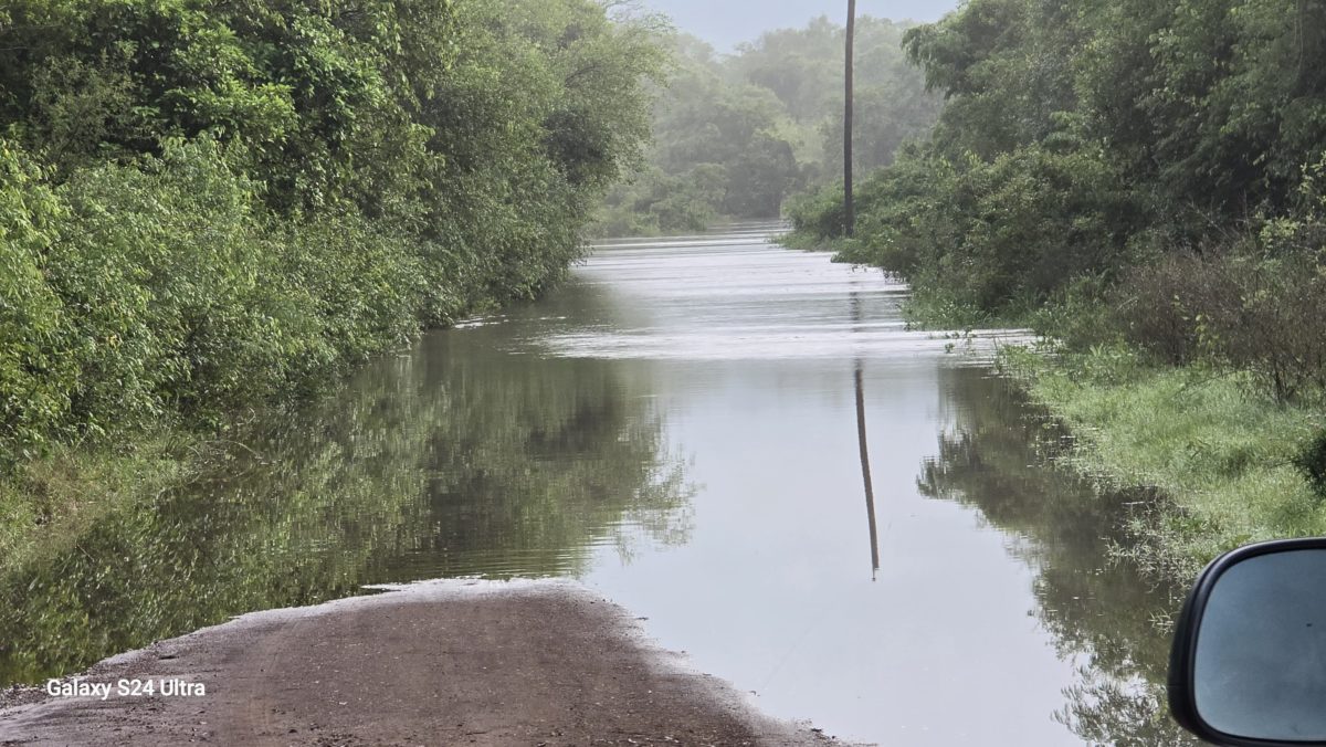 Desborde del arroyo Garupá afecta caminos y puentes en Profundidad