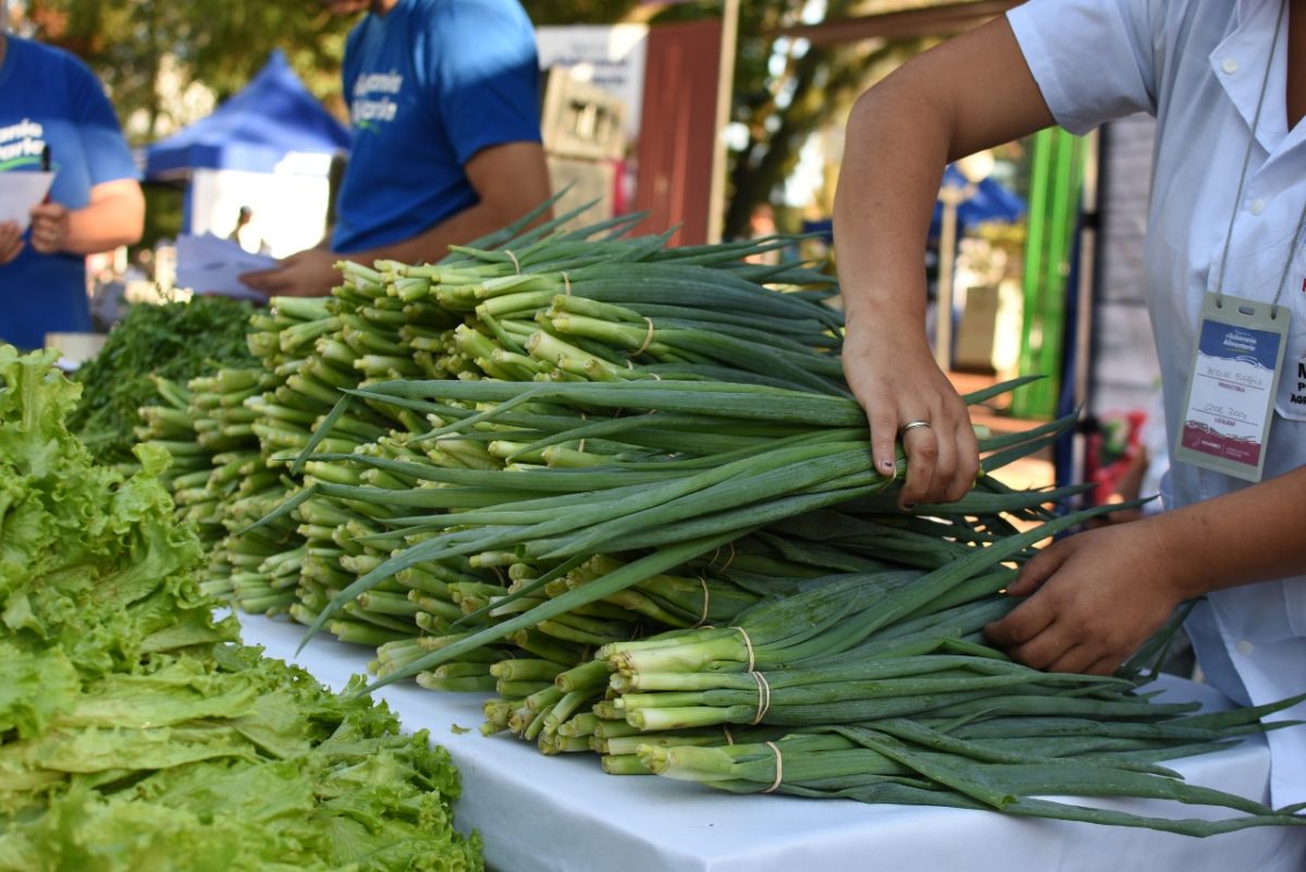 Jardín América ya palpita la Fiesta Provincial de las Ferias Francas