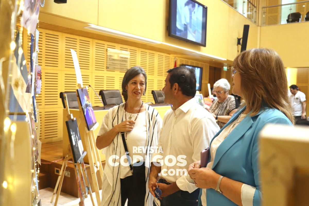 La Legislatura homenajeó a Juanita Sirimarco con una exposición artística y avanza con la ley