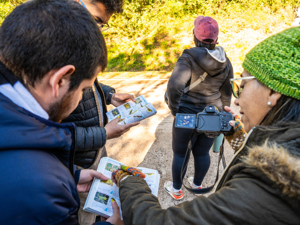 Fin de semana largo para la observación de aves en Misiones