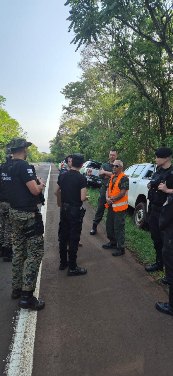 Operativo provincial para ubicar al vehículo que atropelló a un yaguareté en Iguazú