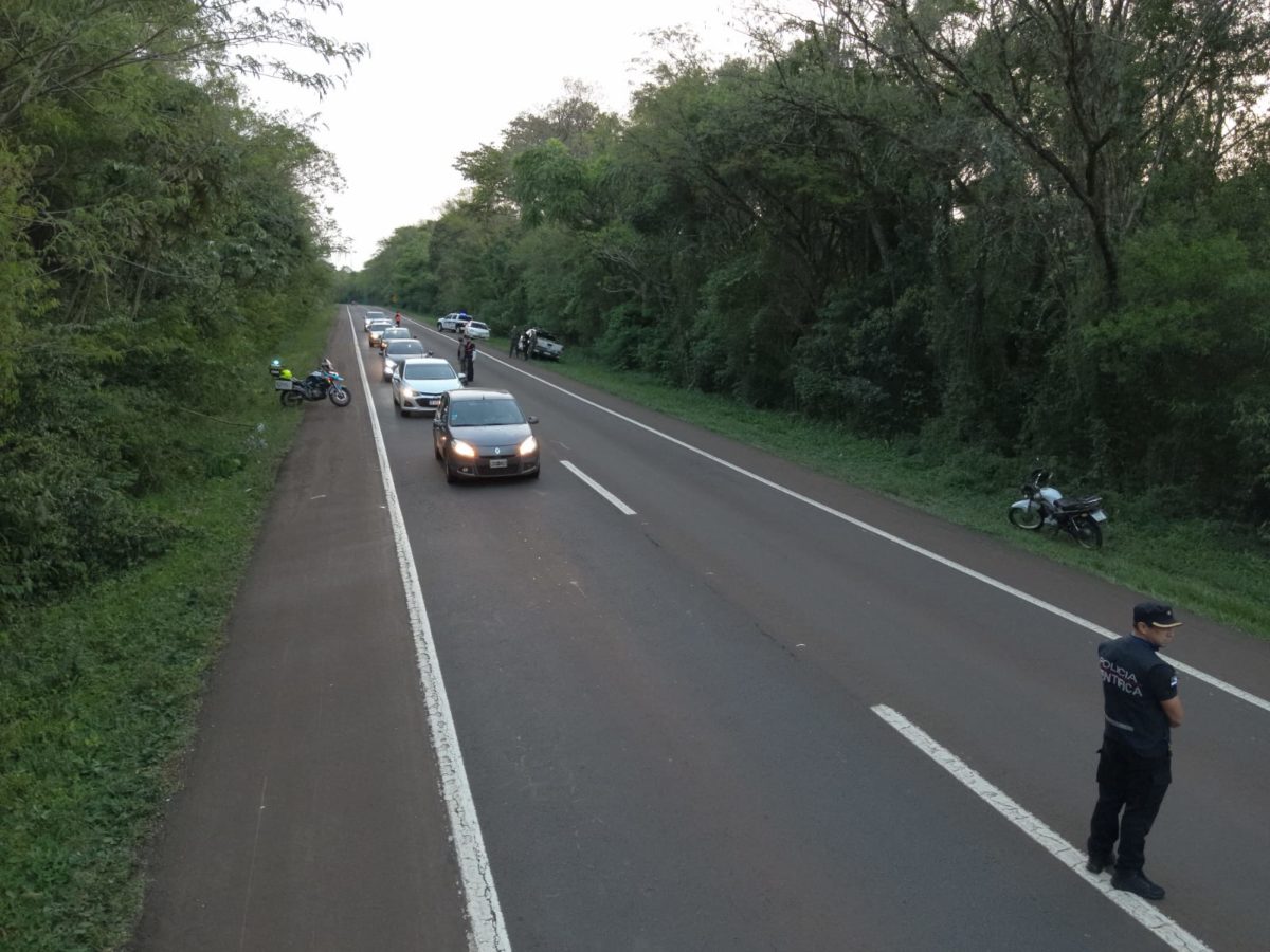 Operativo provincial para ubicar al vehículo que atropelló a un yaguareté en Iguazú