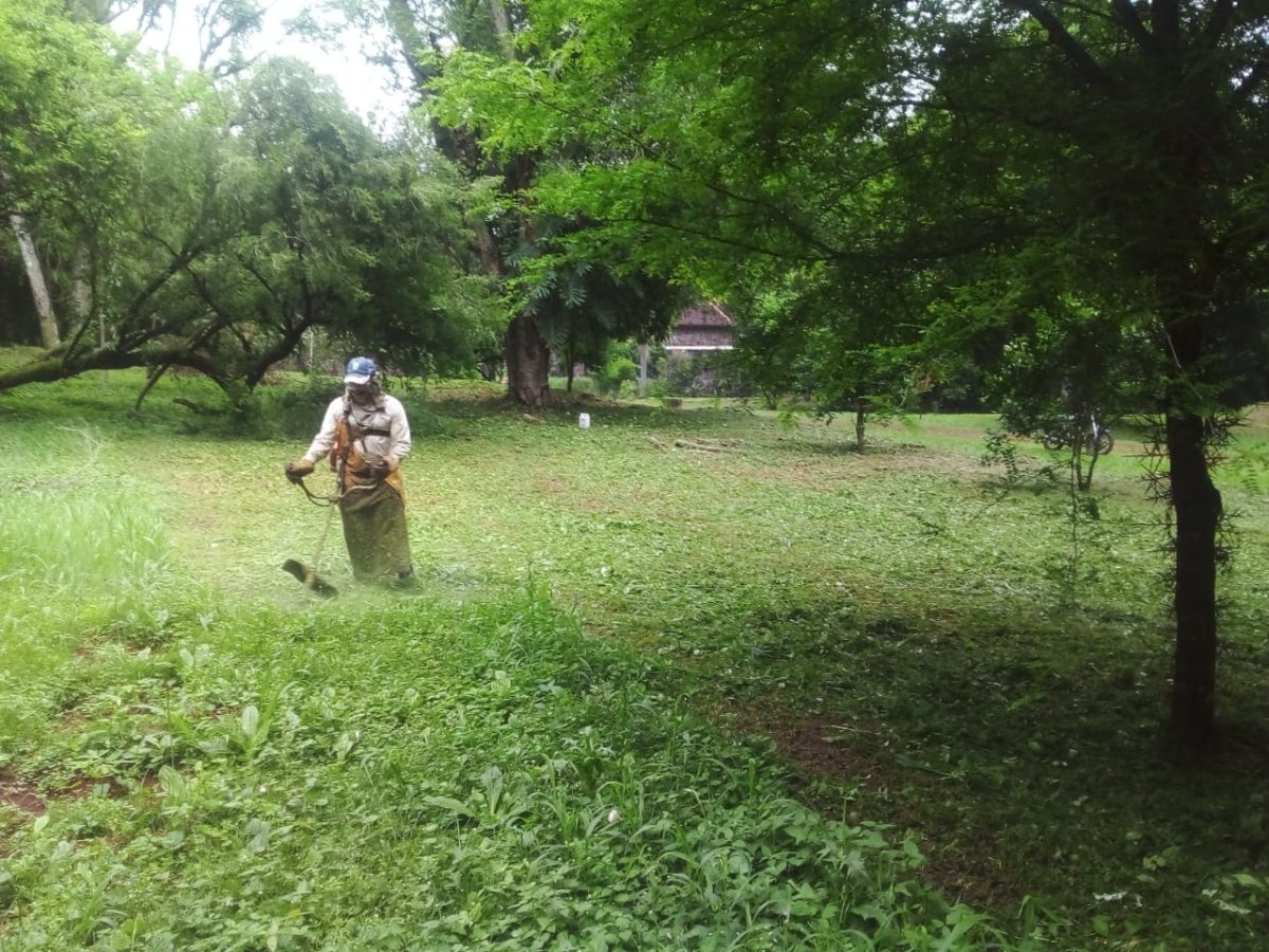 parques arreglos (1)