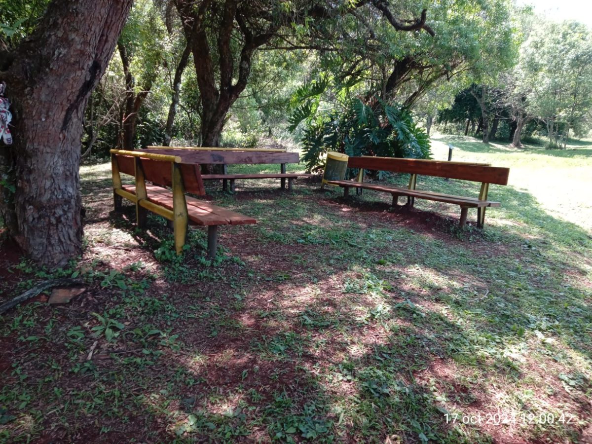 parques arreglos 6 - 3