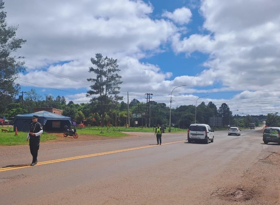 Encontraron a un puma atropellado en Iguazú y buscan intensamente al vehículo involucrado