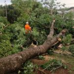 Municipio, Provincia y vecinos asisten a familias afectadas por el temporal en Montecarlo