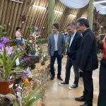 Fin de semana largo con una ocupación del 87% en Misiones