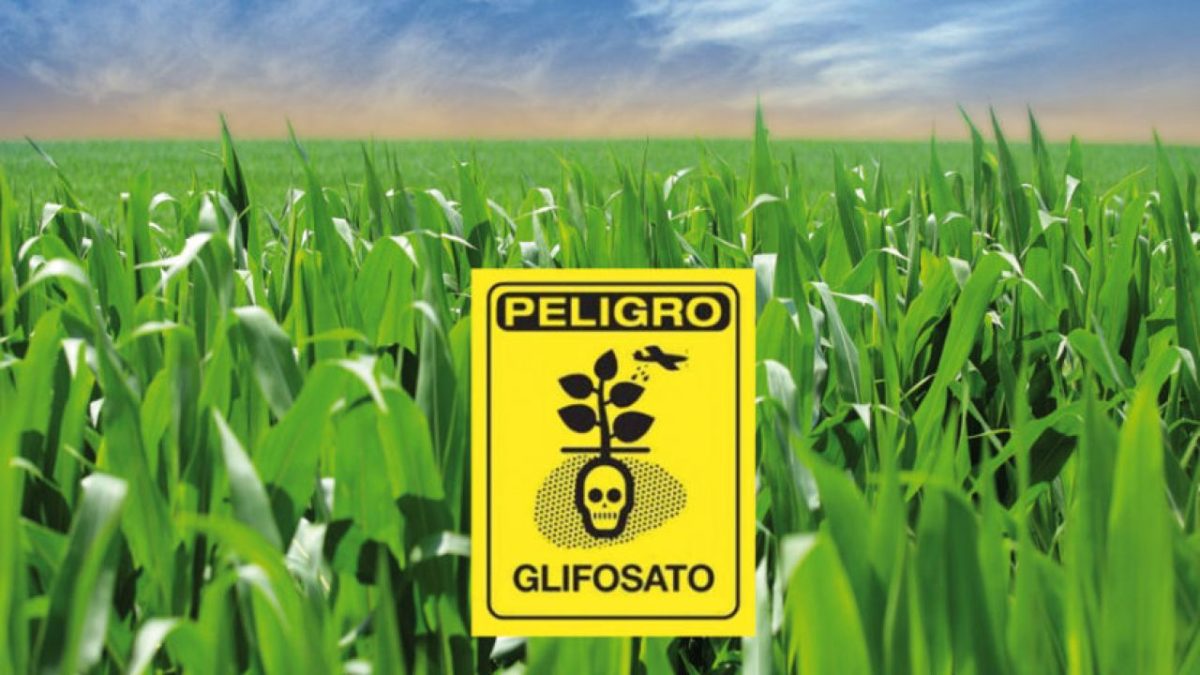 Cae la operacion de Nunez y Acosta fuerte reves para los defensores del glifosato 2 - 1