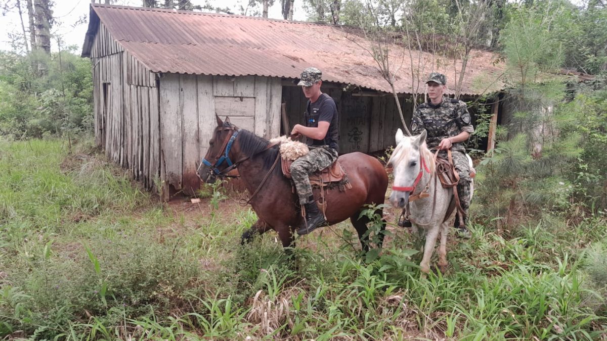 La Policia de Misiones refuerza operativos rurales para el cuidado de colonos 2 - 1