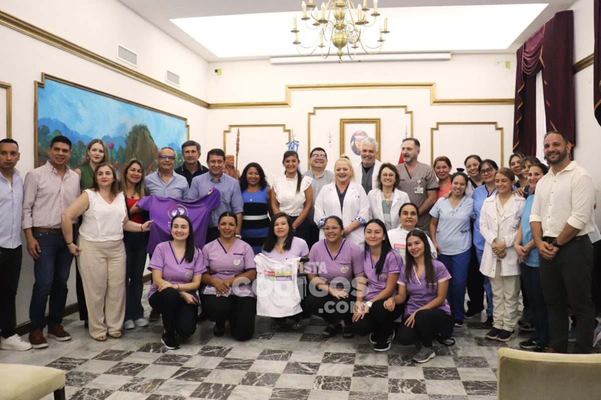 Misiones lanzó la Semana Provincial del Prematuro con actividades de concientización y celebración