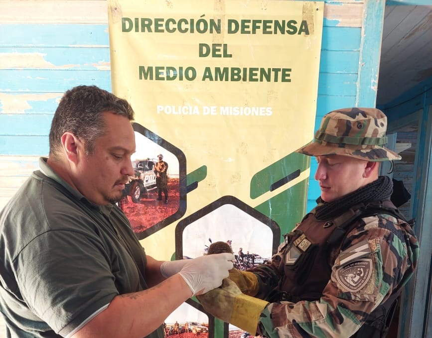 Policías resguardaron a tres aves regionales en San Vicente