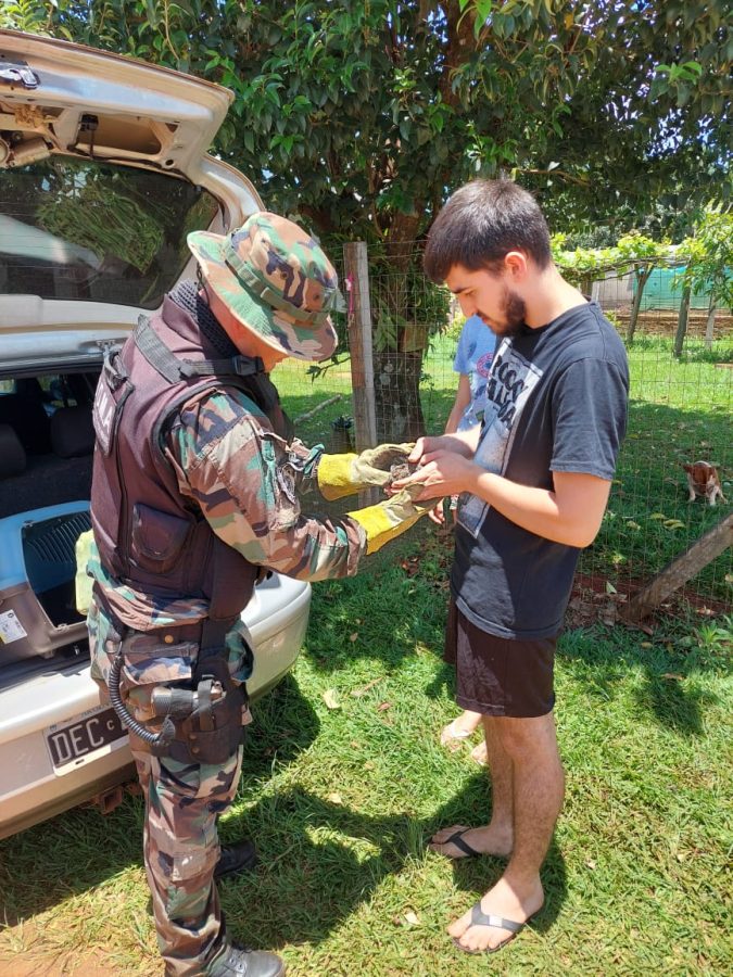 Policias resguardaron a tres aves regionales en San Vicente 5 - 1