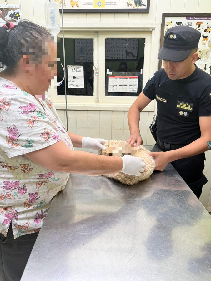 Un hombre fue detenido en Salto Encantado por intentar asfixiar a su perro y romperle una pata 1 - 1