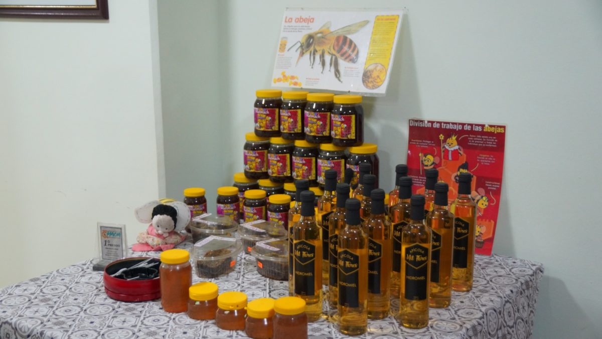 La apicultura es la única actividad productiva presente en los 78 municipios misioneros